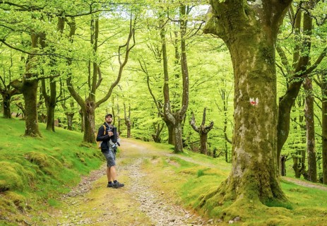 A young father with a yellow backpack walking with the newborn child in the backpack on a path in