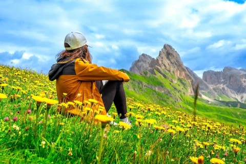 Young woman sitting in a field of yellow flowers admiring the odle mountain group in the italian