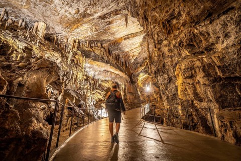 Tourist exploring postojna cave, a renowned natural wonder in slovenia, marveling at the stunning