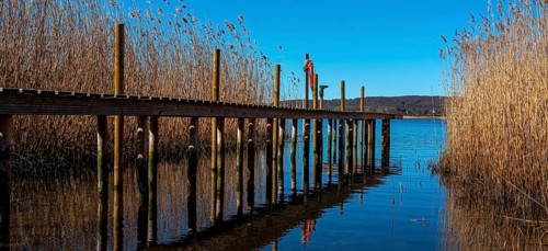 Landscape at Lake Neuensien on the island of Rügen, Mecklenburg-Western Pomerania, Germany, Europe