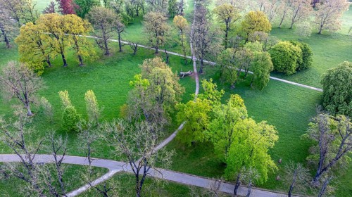 Rosenstein Park in spring with old trees and paths through the landscaped park. Aerial view.