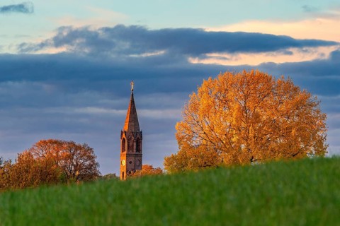 Evening light on a tree in yellow autumn colours and the brick tower of the village church of