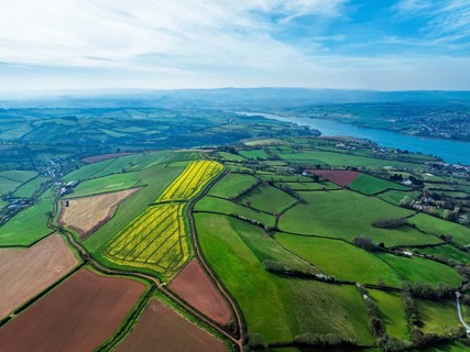 Rapeseed fields over the River Teign from a drone, Teignmouth, Shaldon, Devon, England, United