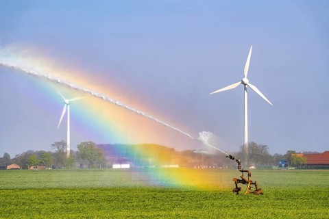 Artificial irrigation of a cereal field in April, with a sprinkler system, long dry spell in spring