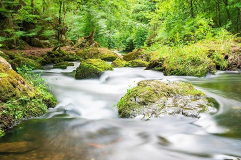 River Trieb in the Triebtal valley between the Pöhl dam and its confluence with the Weiße Elster,