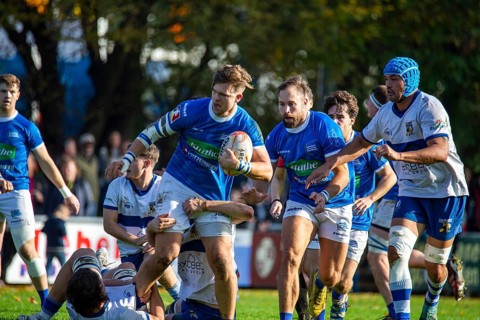 26.10.2024, Rugby 1st Bundesliga South/West, Season 2024/25, Matchday 6: SC Neuenheim vs TSV