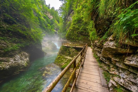 Breathtaking scenery of vintgar gorge with wooden walkways and turquoise water, a popular tourist