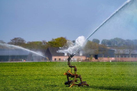 Artificial irrigation of a cereal field in April, with a sprinkler system, long dry spell in spring