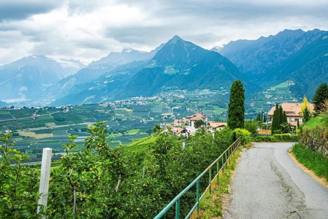 Orchards nestled in the picturesque Alpine landscape above Merano in the municipality of Scena,