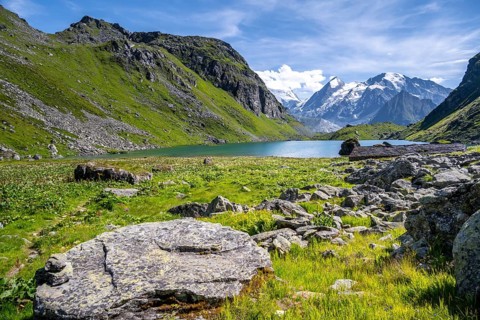Mountain lake Lac de Louvie with glaciated summit of the Grand Combin, Val de Bagnes, Valais,