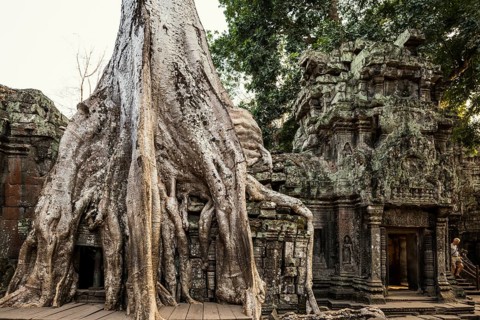 Ta Prohm, Angkor Wat, Angkor, UNESCO World Heritage Site, Siem Reap, Cambodia, Indochina, Southeast