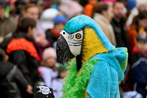 Person masked as a parrot at the carnival parade of the Wey guild on Rose Monday, Güdismäntig,