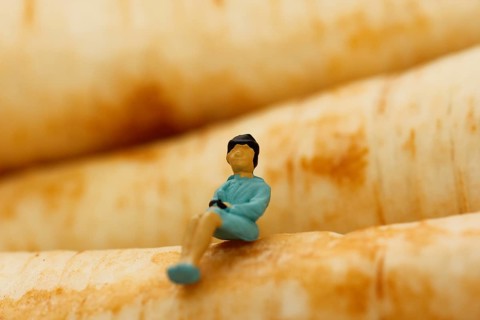 Miniature figure of a woman sitting on parsley root (Petroselinum crispum), root parsley, North