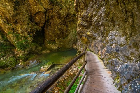Scenic wooden walkway along radovna river in vintgar gorge near bled, a breathtaking natural wonder