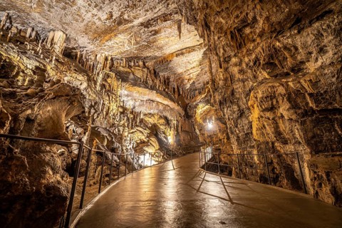 Tourists exploring the illuminated pathway within the breathtaking postojna cave, marveling at the