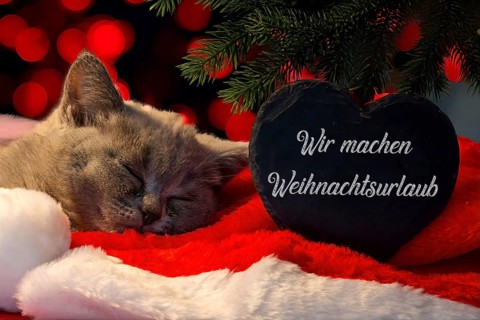 Christmas greetings: Heart with the inscription WIR MACHEN WEIHNACHTSURLAUB next to a kitten