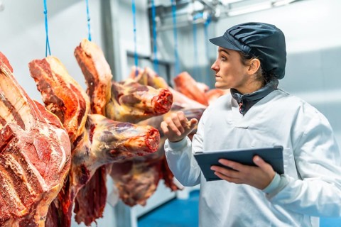 Butcher using technology in a innovative meat processing factory checking the meat using digital