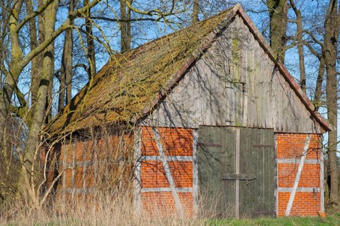 A half-timbered barn stands in a grove, Wildeshauser Geest, Bassum, Diepholz, Lower Saxony,