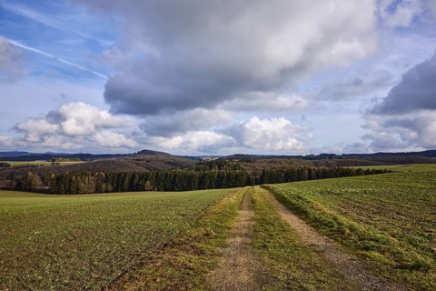 Agriculture, fields, hilly landscape, coniferous forest, landscape, landscape photography, blue