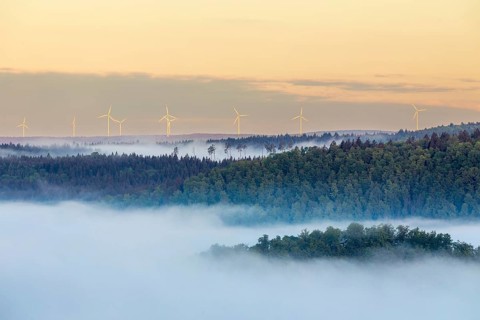 Wind turbines in the morning light, fog, Danube valley, mixed forest, Bandfelsen, Leibertingen,