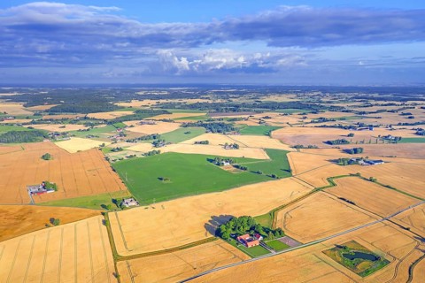 Aerial view over agricultural wheat fields, meadows, farmland and farms in Skåne län, Scania