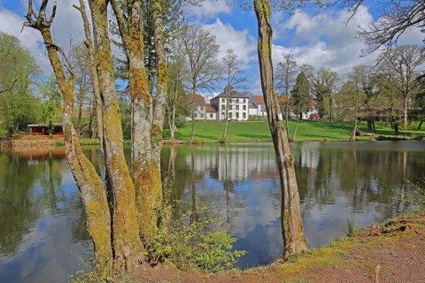 Pond with mossy tree trunks at Hofgut Imsbach, nature, moss, reflection, country inn, idyll,