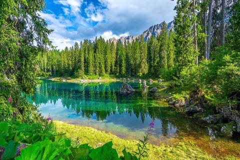 Emerald waters of lake carezza reflecting surrounding fir trees and latemar mountain range in