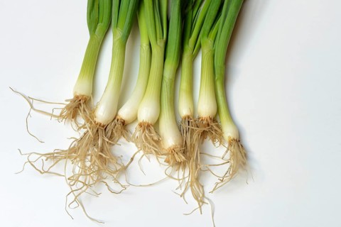 Spring onions with roots, onion
