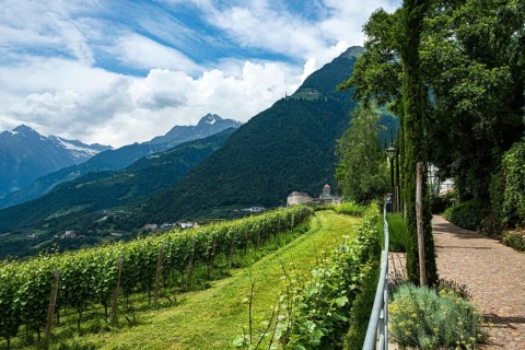 Tyrol Castle seen from Dorf Tyrol, medieval ancestral castle of the Counts of Tyrol and since 2003