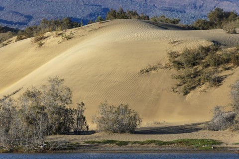 Nature reserve Dunes of Maspalomas, small lagoon La Charca de Maspalomas and sand dunes in the