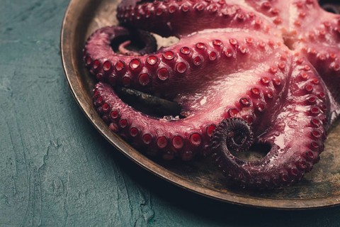 Boiled octopus, close-up, rustic style, no people, top view, close-up