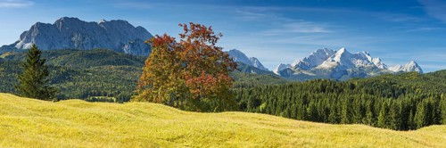 Humpback meadows between Mittenwald and Krün, Werdenfelser Land, behind it the Zugspitze, 2962m,