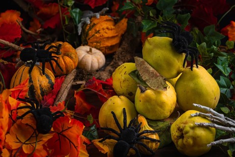 Halloween still life with quinces, pumpkins, spiders and autumn leaves