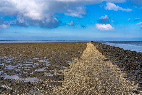 The Wadden Sea, East Frisia, between Bensersiel and Neuharlingersiel, at low tide, seabed