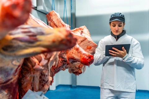 Woman using tablet doing quality control tasks in a meat processing factory