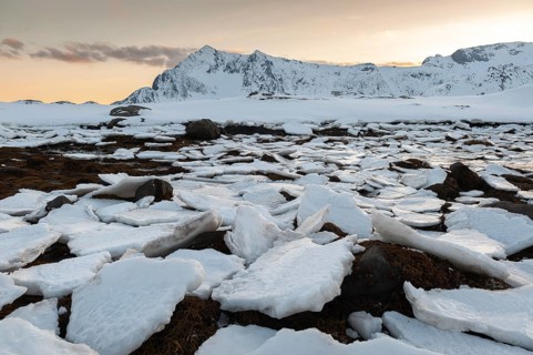 Ice floes, Lofoten island Vestvågøya at the fjord Gimsøystraumen, Lofoten, Northern Norway, Norway,
