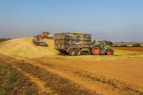 Piston Bully tracked bulldozer vehicles building silage clamp of sweetcorn maize in field stored