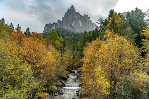 Autumn at the Schwarzgriesbach stream and the Schlern mountain in Seis am Schlern, South Tyrol,