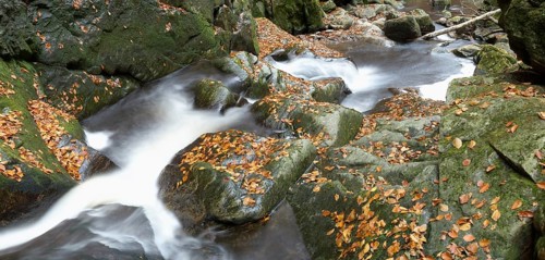 Stream with running water flowing through a rocky landscape covered with autumn leaves, Bavarian