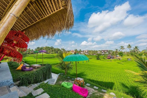 Café and bistro in the rice paddies, seating area, outdoor, gastronomy, travel, tourism, Ubud in
