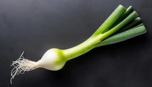 Vegetable, spring onion or spring onion, also known as winter onion, Allium fistulosum