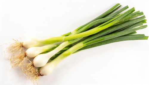 Vegetable, spring onion or spring onion, also known as winter onion, Allium fistulosum