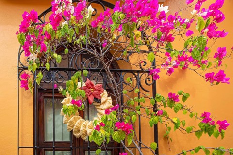Oaxaca, Mexico, Scenic old city streets and colorful colonial buildings in historic city center,