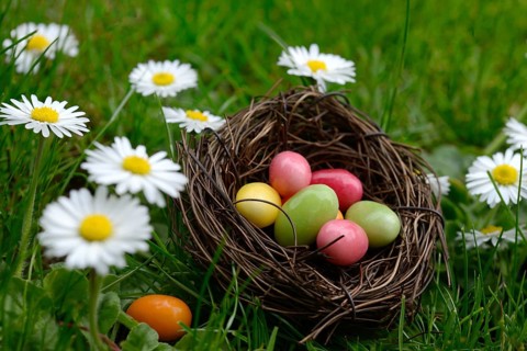 Sugar eggs in an Easter nest in the meadow with daisies