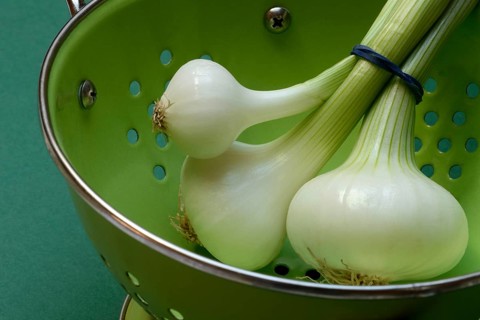 Onion, spring onions in sieve pot