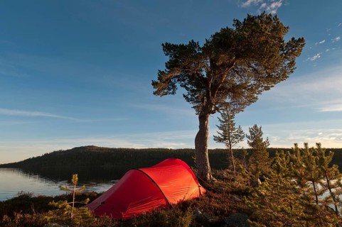 Tent at Lake Gutulisjoen, Gutulia National Park, Hedmark Fylke, Norway, Bivouac, Norway, Europe