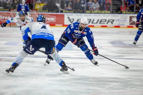 DEL, German Ice Hockey League 2024/25 season, matchday 44: Adler Mannheim v ERC Ingolstadt***hatch