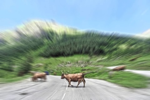 Dynamic photo with speed effect of speeding car driving at high speed on country road towards