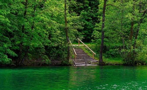 Landscape at Lake Thumsee, Bad Reichenhall, Bavaria, Germany, Europe