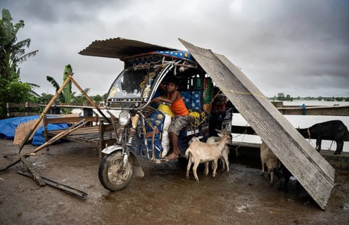 Morigaon, India. 2 July 2024. people takes shelter in a batter rickshaw in a flood affected village